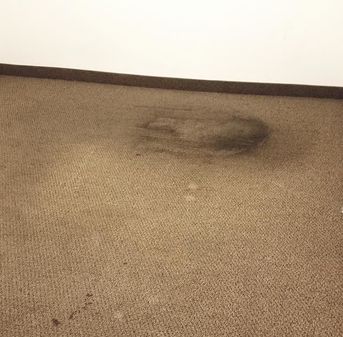 Before & After Carpet Cleaning in Tempe, AZ (1)