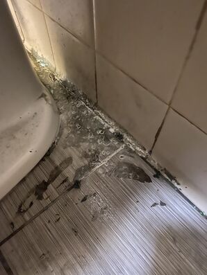 Before & After Commercial Restroom Deep Cleaning in Phoenix, AZ (5)