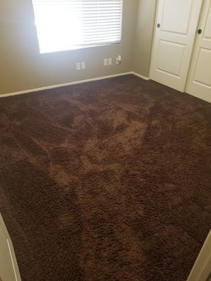 Before & After Carpet Cleaning in Pheonix, AZ (1)